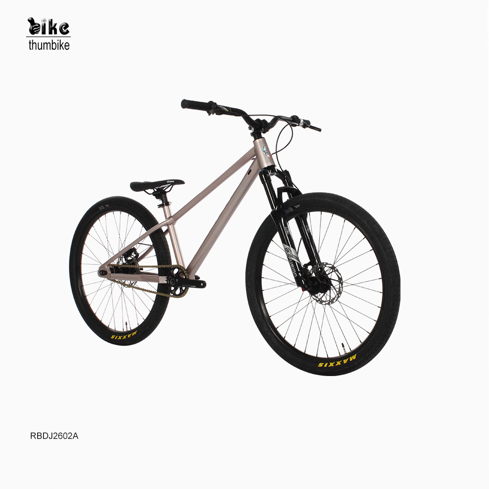 Venta caliente personalizada bicicleta BMX Dirt Jump de 26 pulgadas con gran calidad Freestyle Cruiser Street Rocker bicicleta Bmx