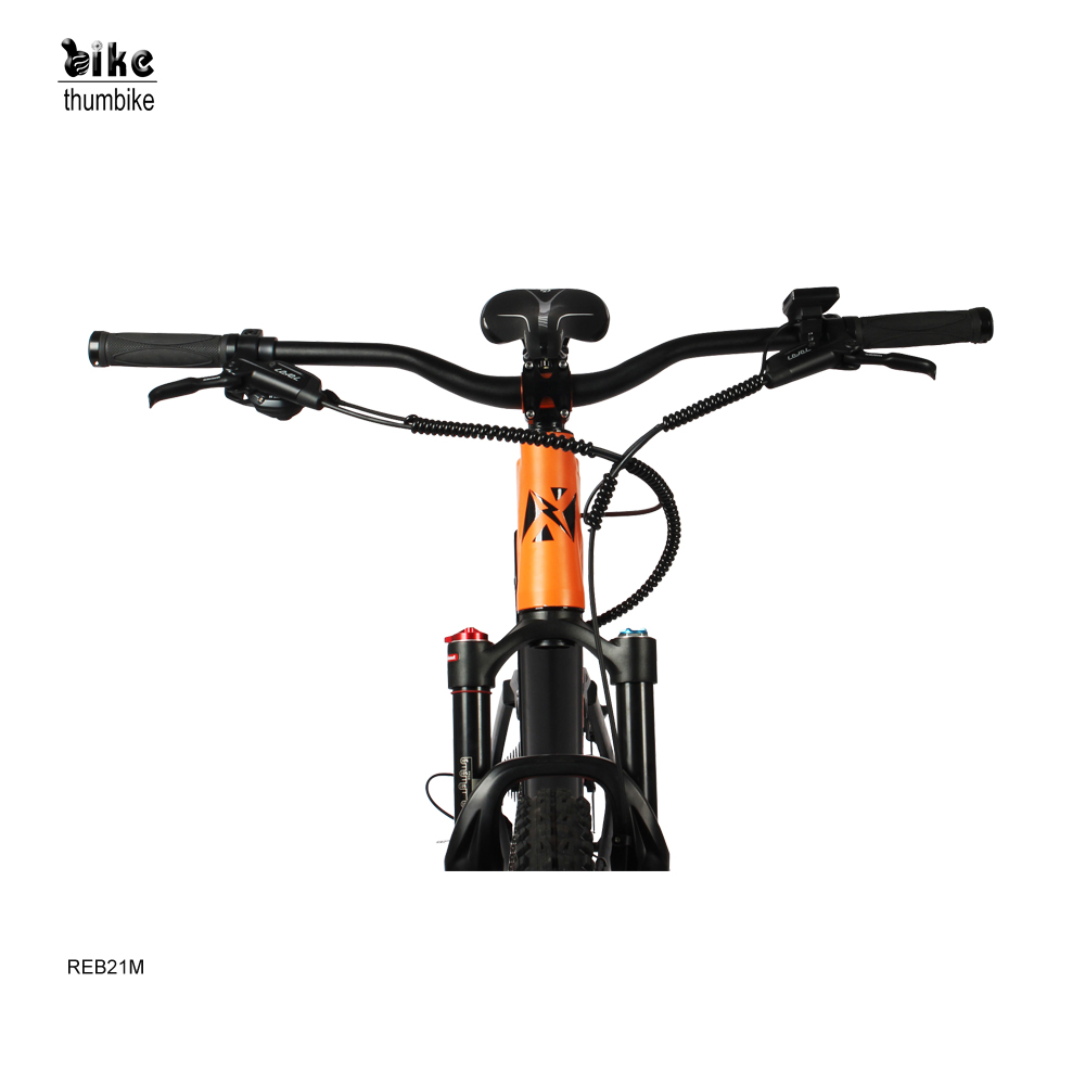 Bicicleta de montaña eléctrica potente de suspensión total personalizada con batería extraíble