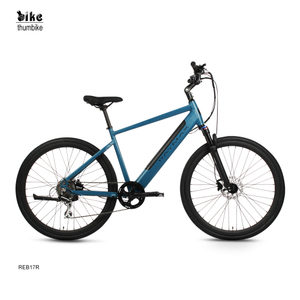 Bicicleta de ciudad eléctrica para hombre personalizada para viajes urbanos